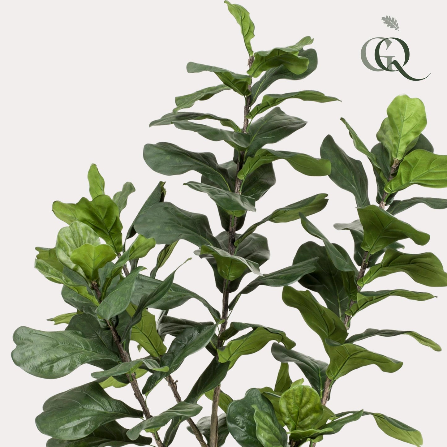 Kunstplant - Tabaksplant - Ficus Lyrata - 210cm
