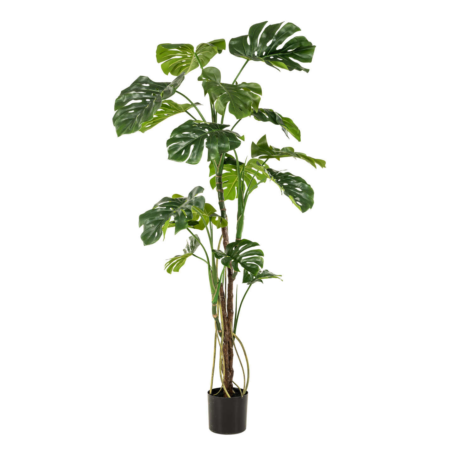 Kunstplant - Gatenplant - Monstera - 180cm