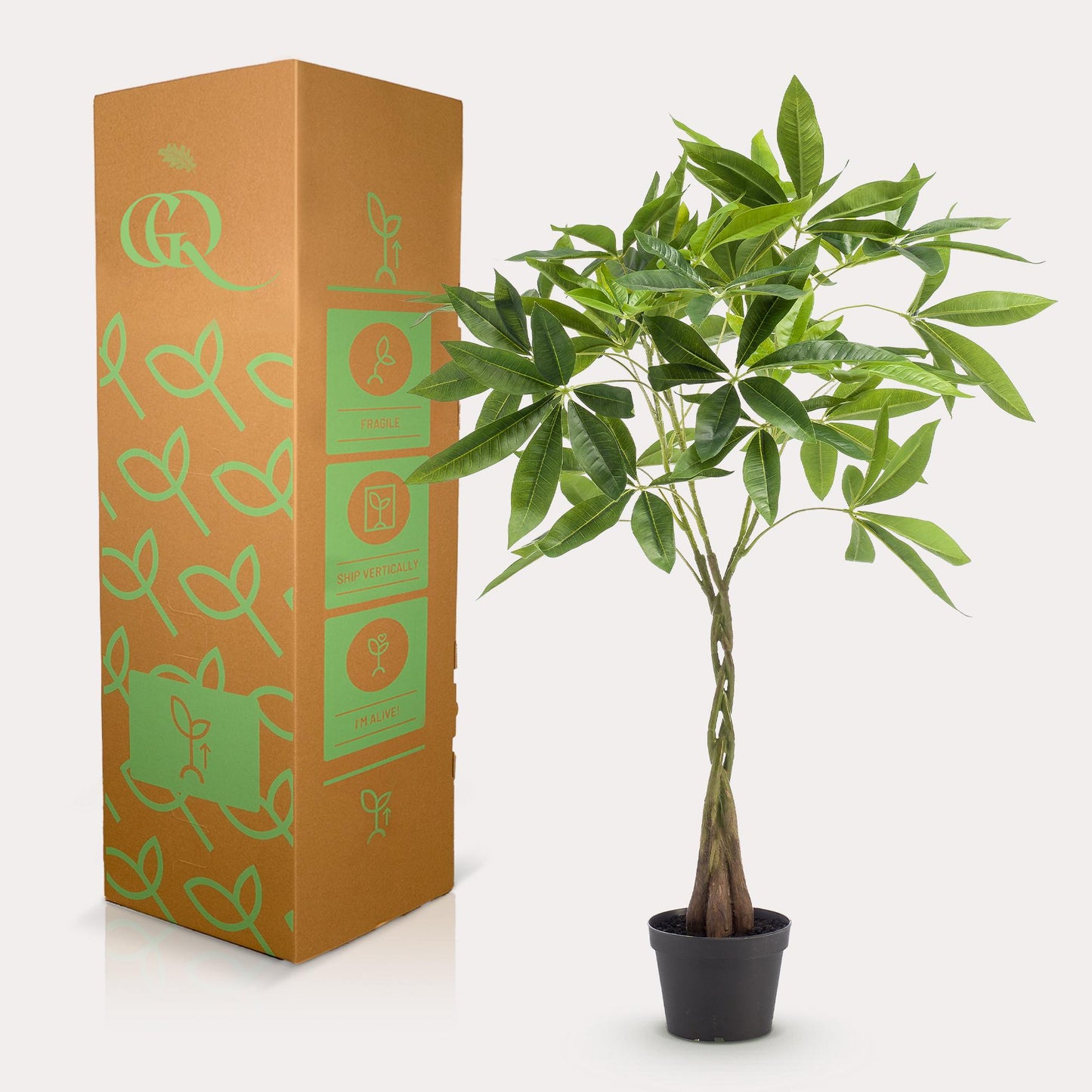 Kunstboom - Geldboom - Pachira aquatica - 90cm