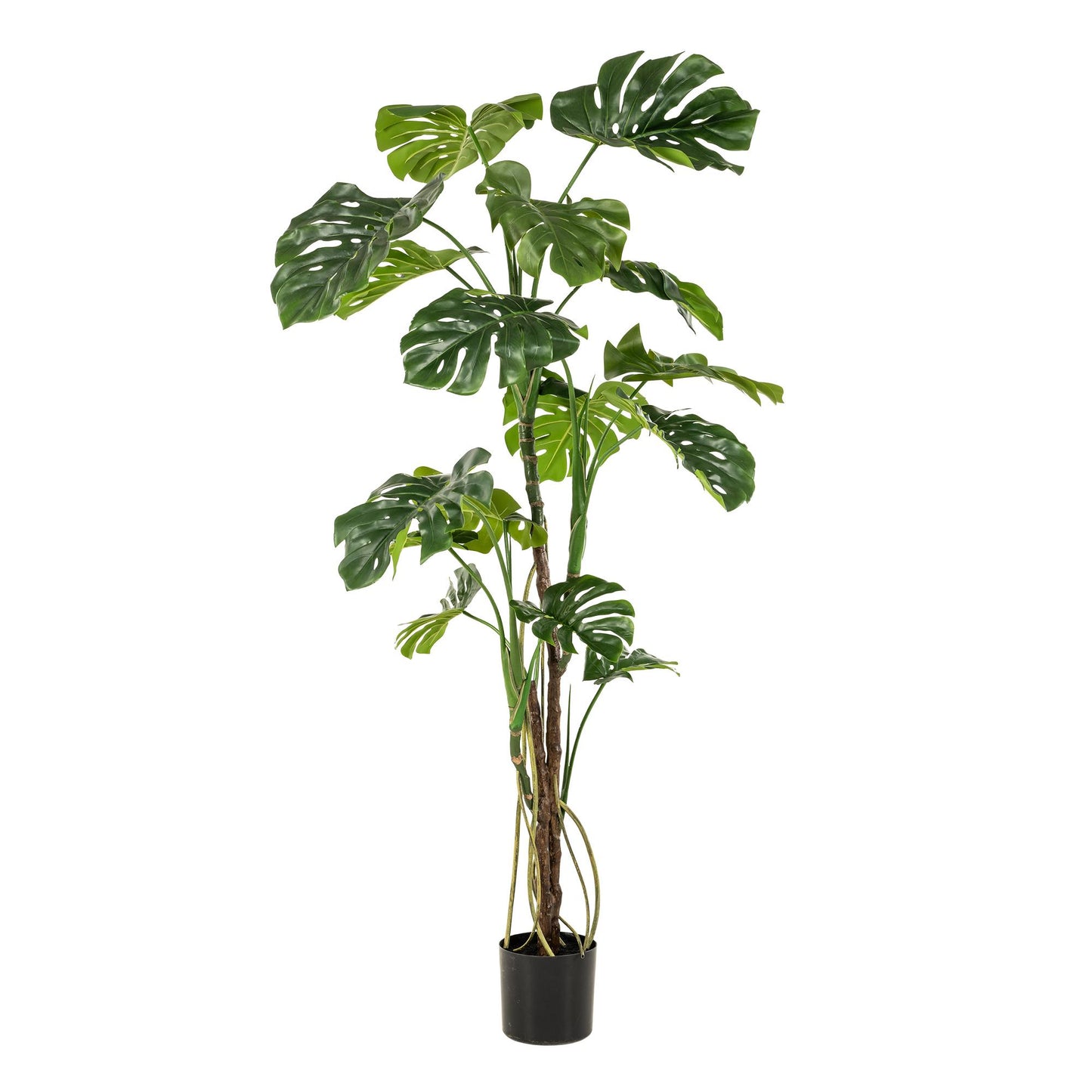 Kunstplant - Gatenplant - Monstera - 180cm