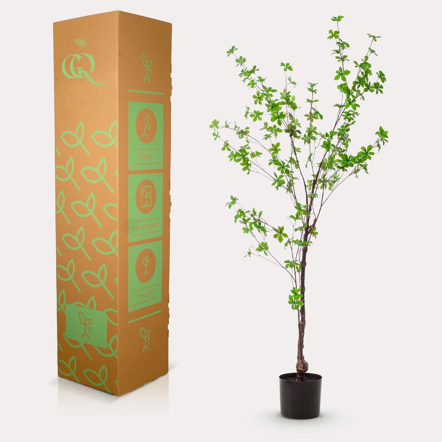 Kunstboom - Oost Indische Kers - Tropaeolum Speciosum - 150 cm