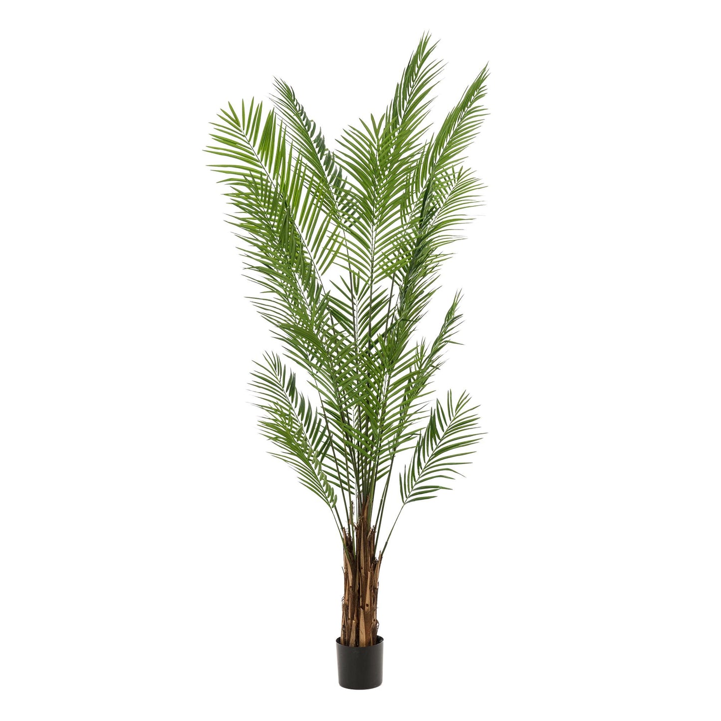 Kunstboom - Goudpalm - Areca Lutescens - 240cm