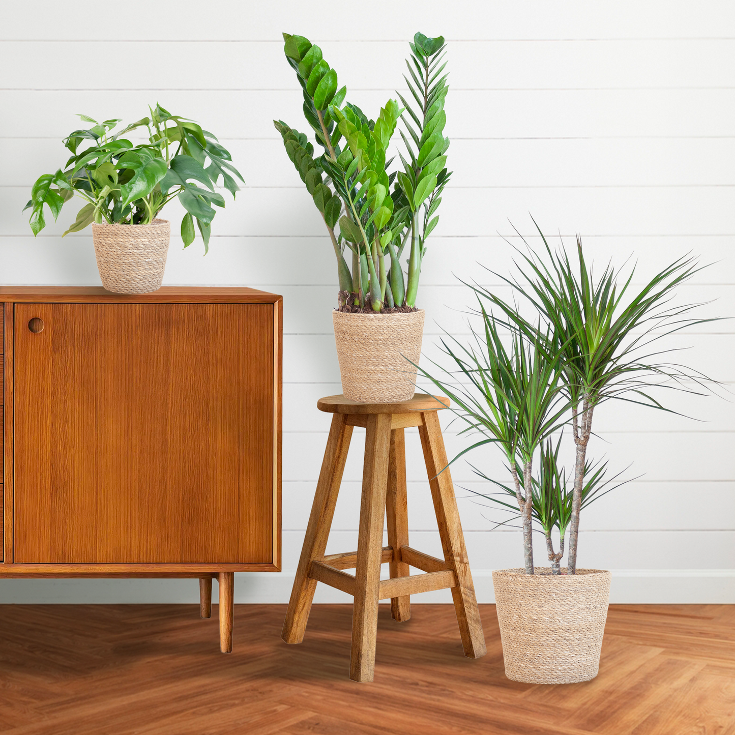 Plantenbox set van 3 - medium - met mand Sofia