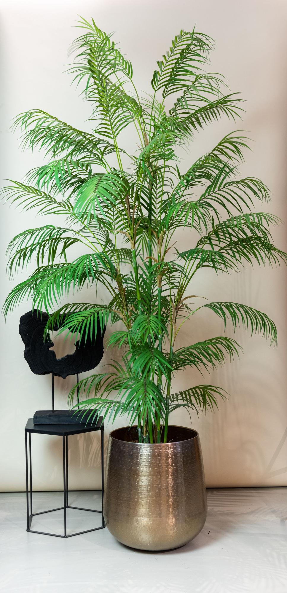 Kunstboom – Bergpalm (Chamaedorea elegans)