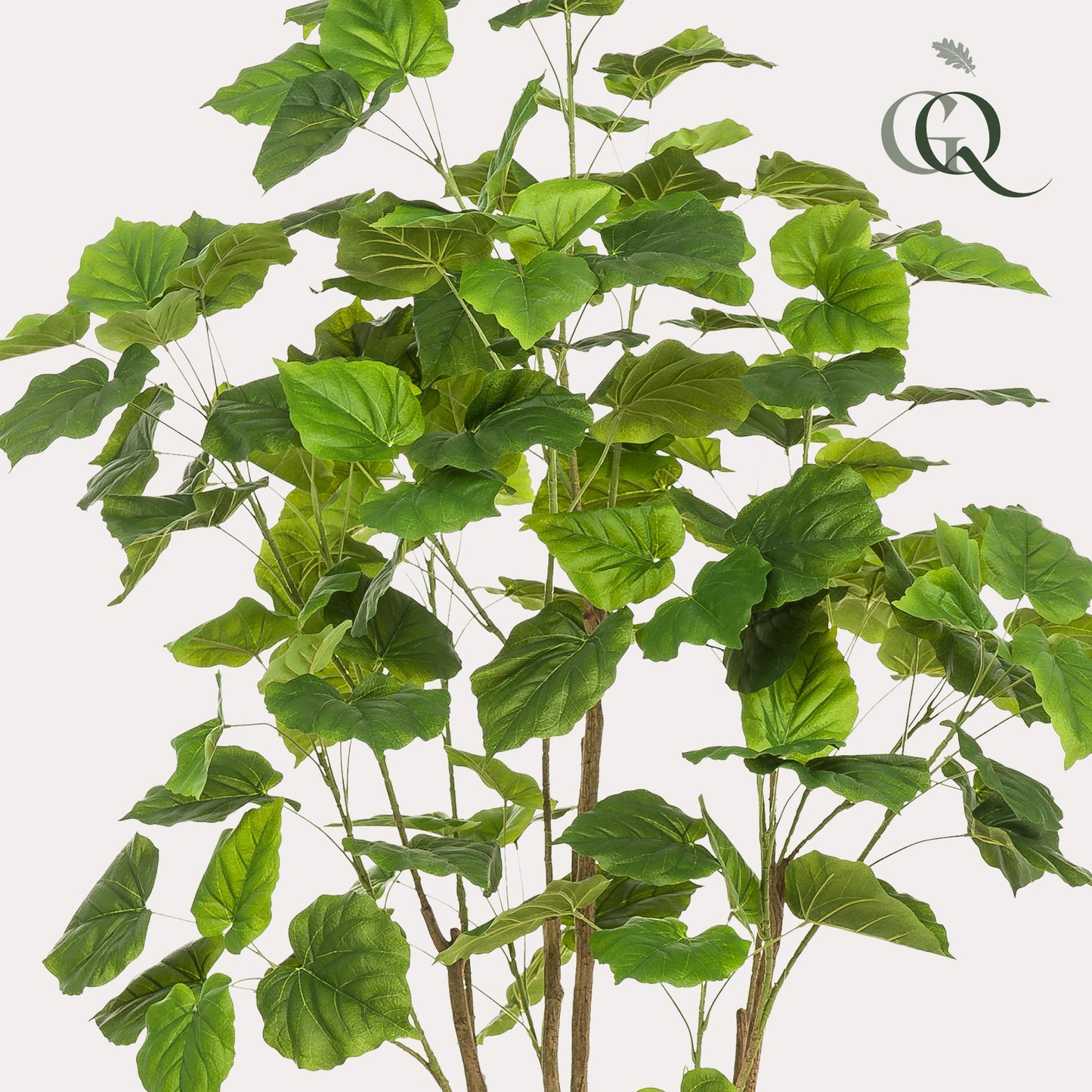Kunstboom – Ficus Umbellata (Afrikaanse vijg) – 180 cm