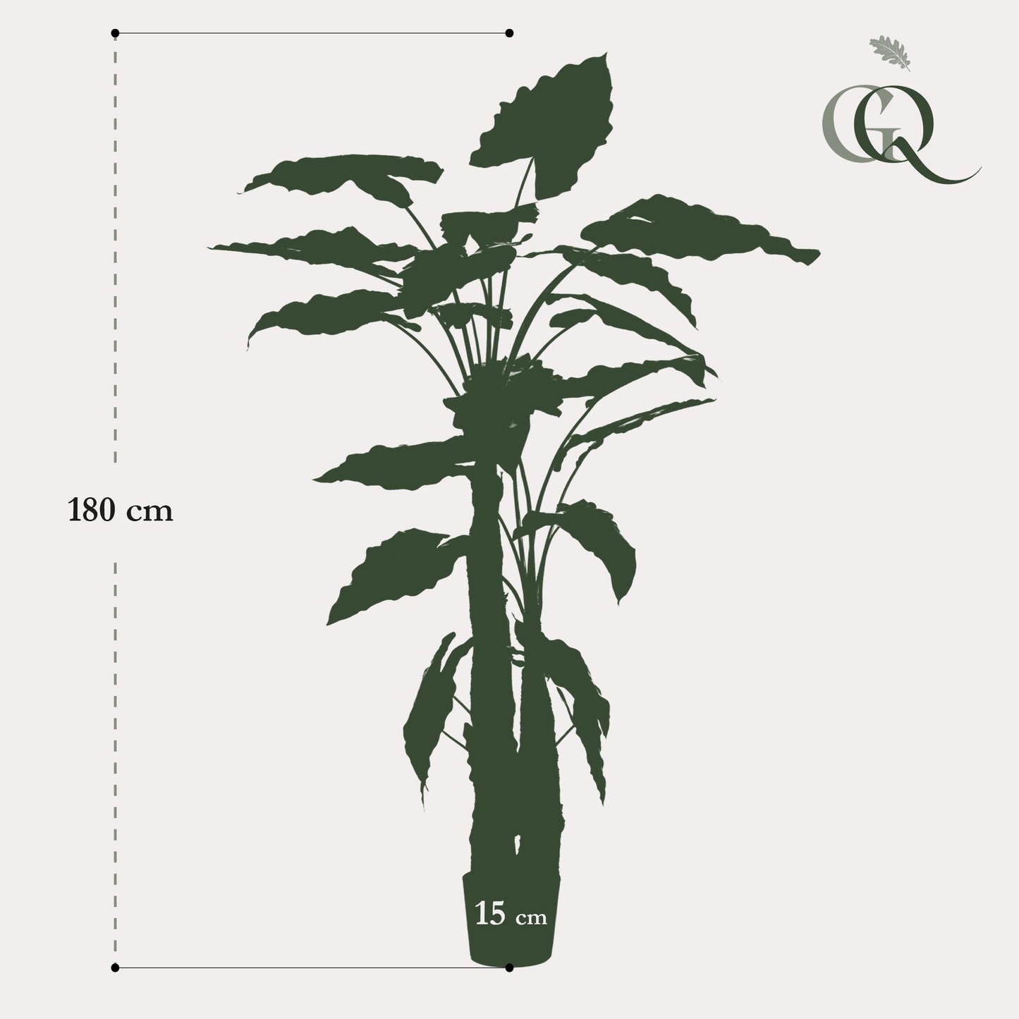 Kunstplant - Olifantsoor - (Alocasia) - 180 cm