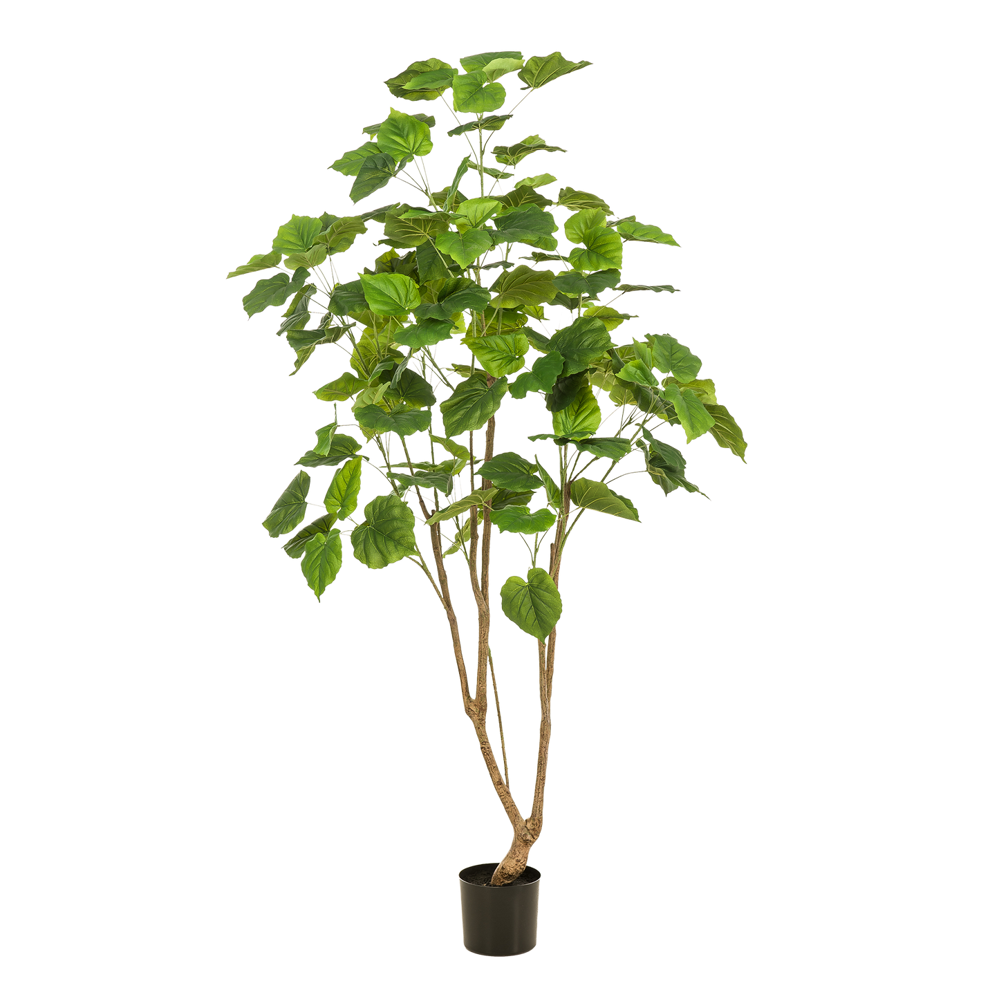 Kunstboom – Ficus Umbellata (Afrikaanse vijg) – 180 cm