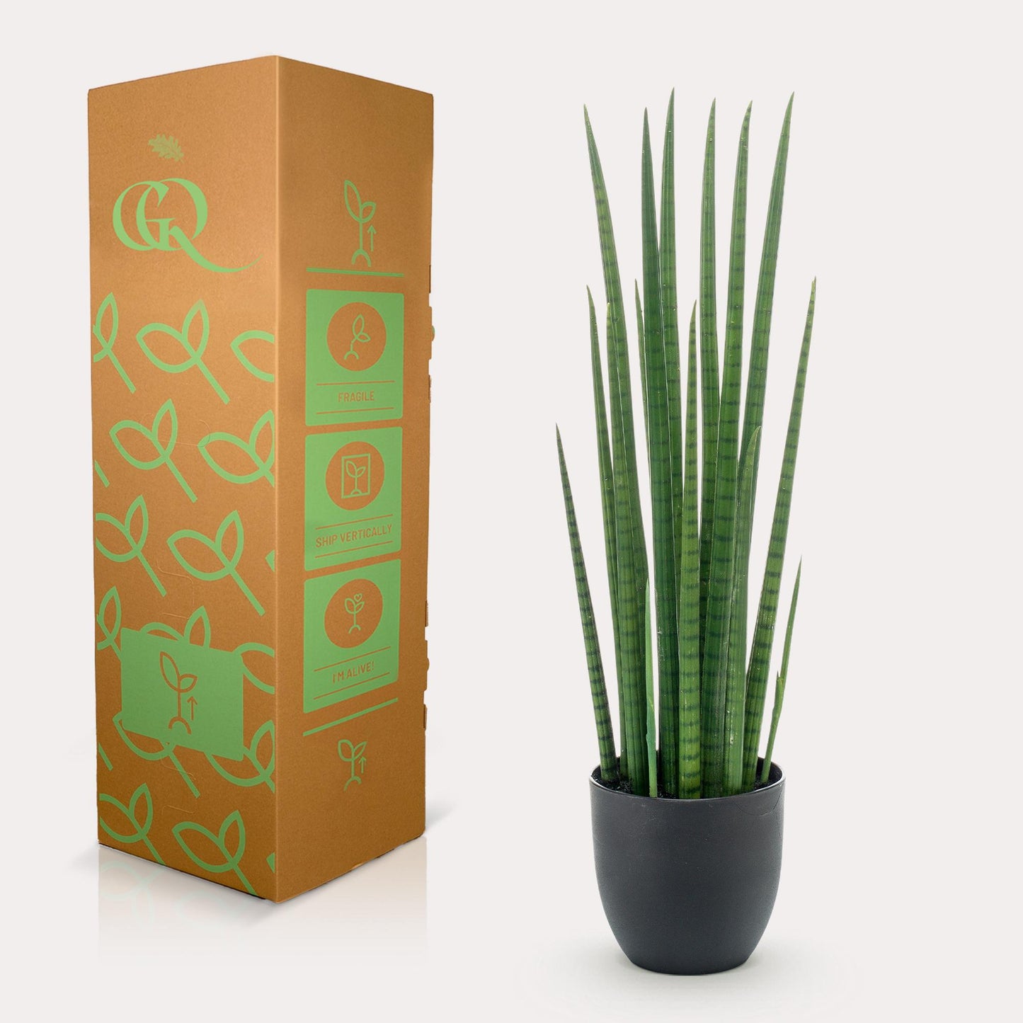 Kunstplant - Vrouwentong - Sanseveria Cylindrica - 70 cm