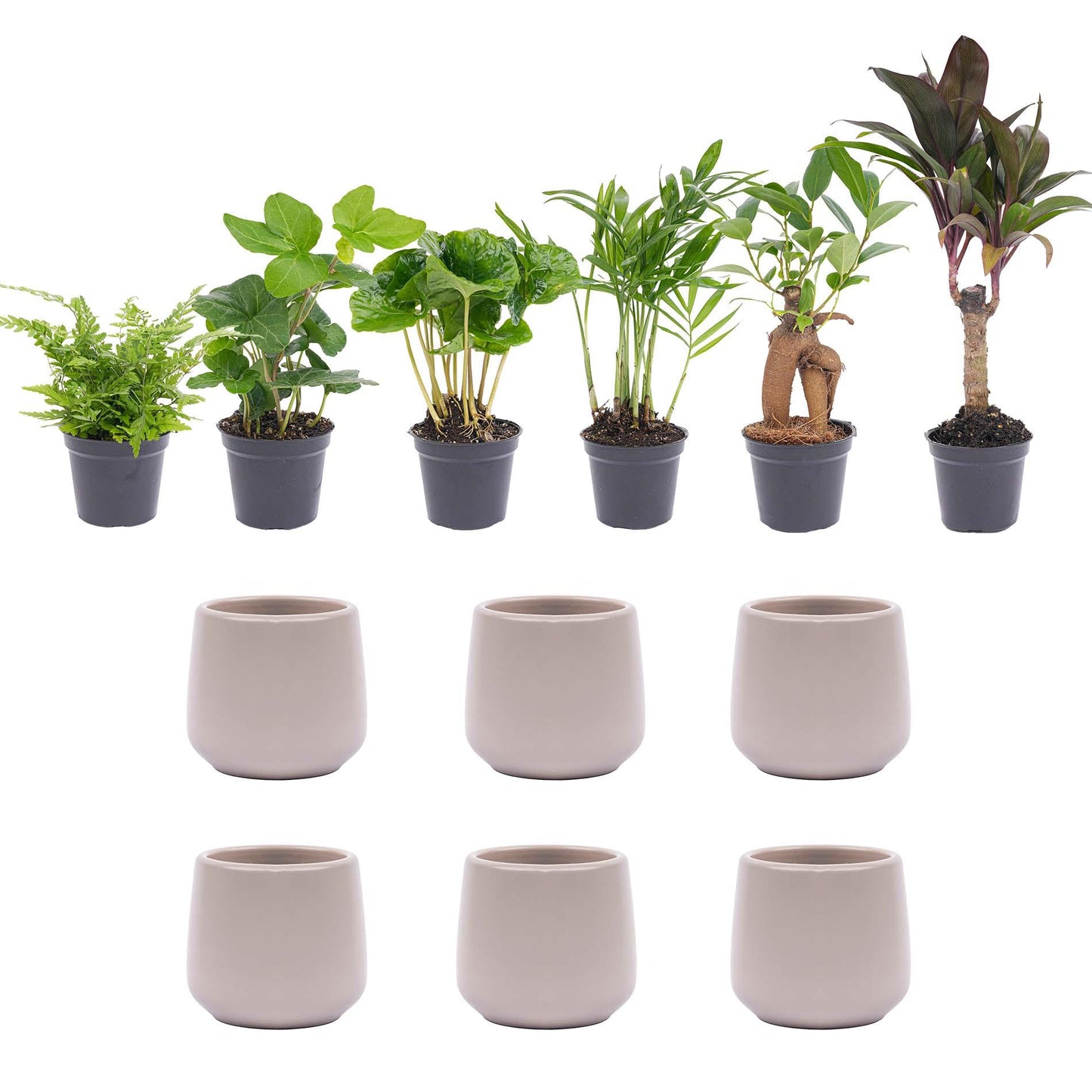 Plantenbox set - Inclusief 6x pot - grijs mat