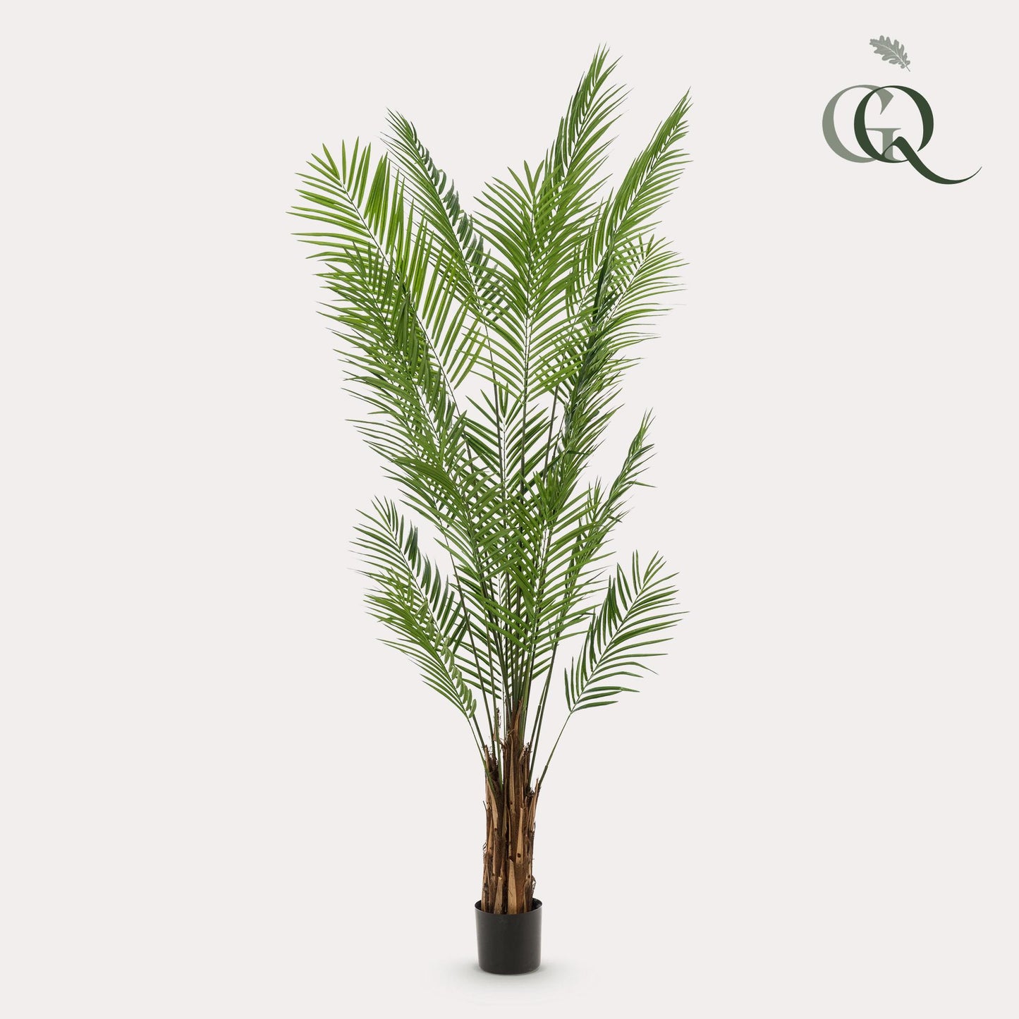 Kunstboom - Goudpalm - Areca Lutescens - 240cm