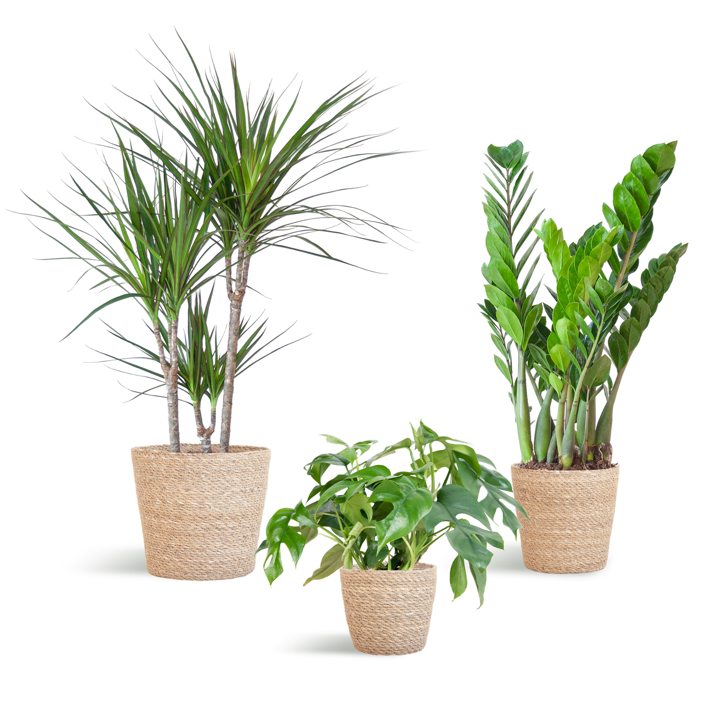 Plantenbox set van 3 - medium - met mand Sofia