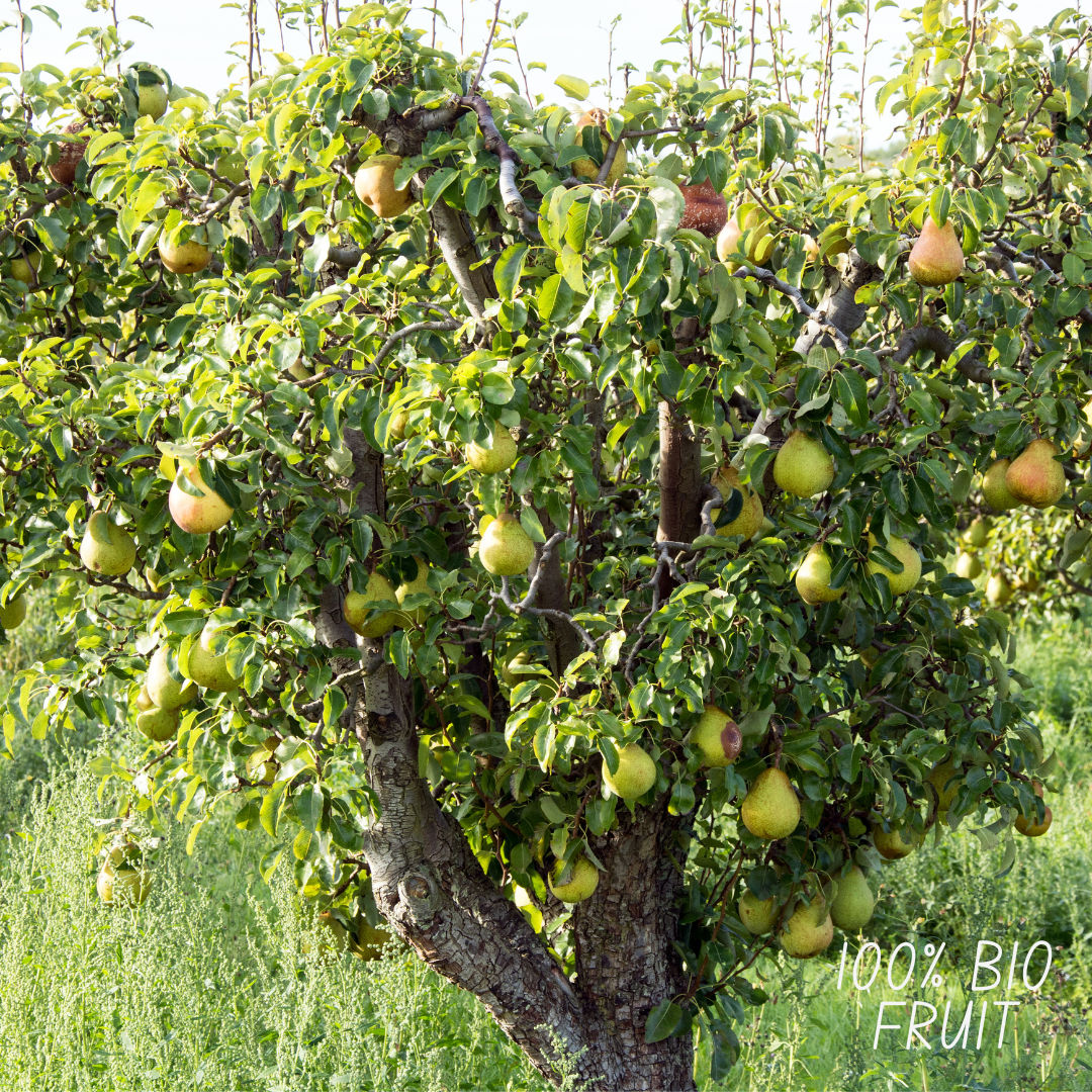 Fruitbomen