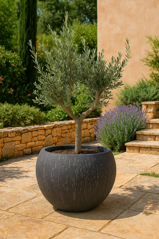 Pot - Anthracite - Raindrop Globe - XL - H30 W42