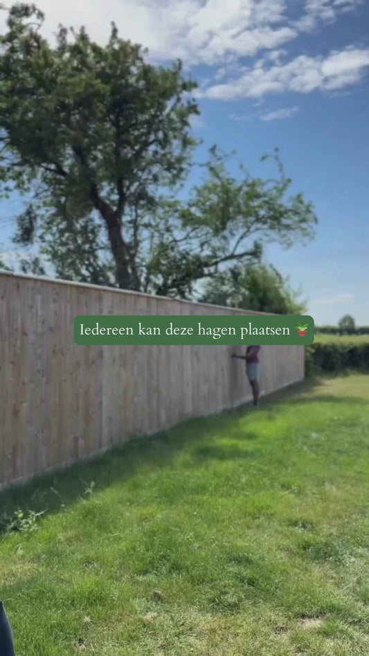 Kant en klaar haag - Hedera hibernica -180 cm - Gehele jaar te planten - v.a. 3 stuks