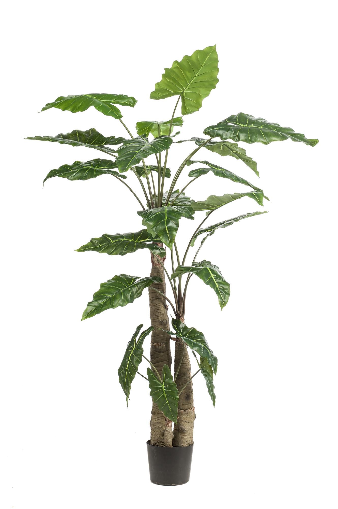 Kunstplant - Olifantsoor - (Alocasia) - 180 cm