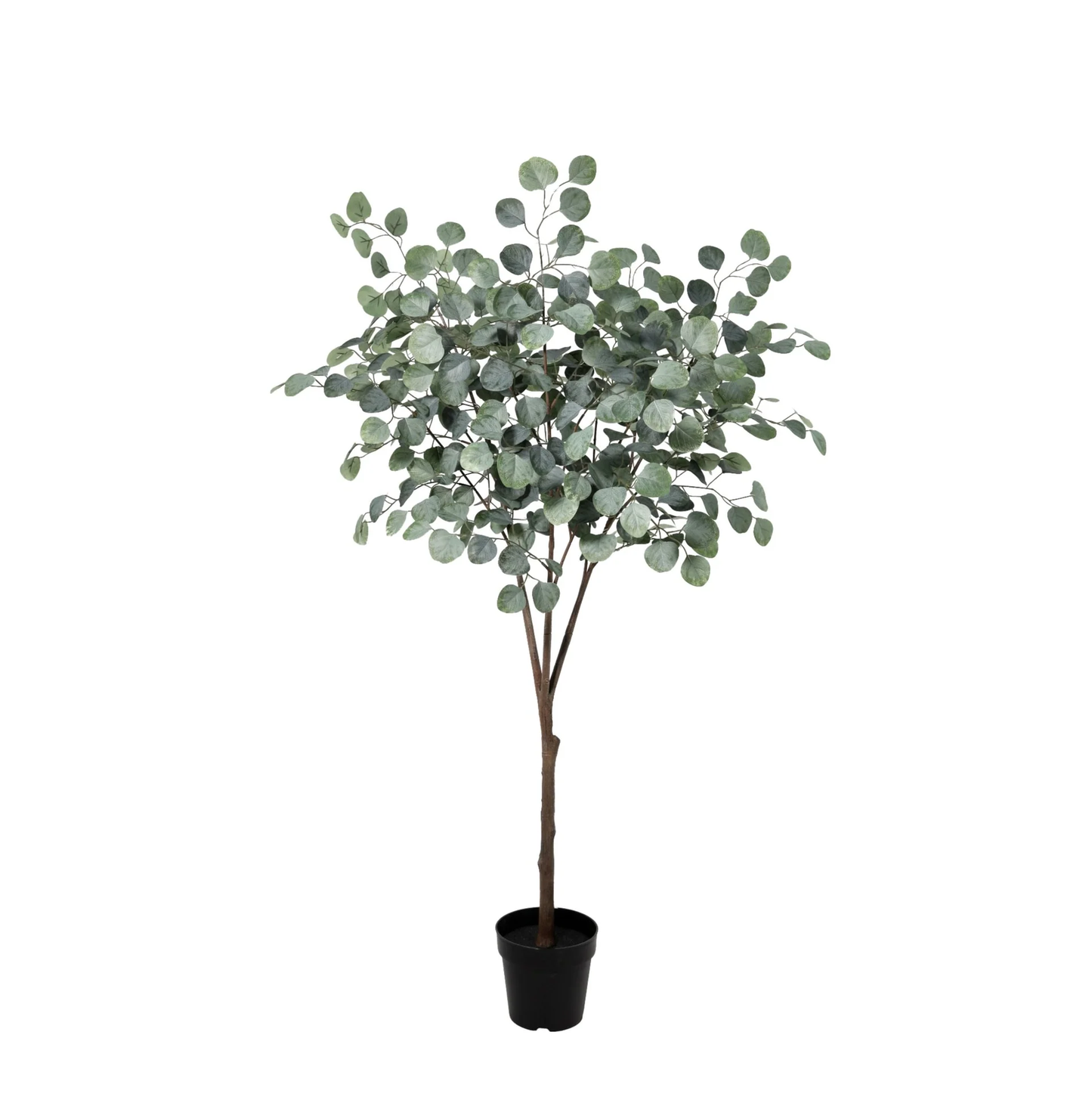 Kunst Eucalyptus – Eucalyptus – 150 cm