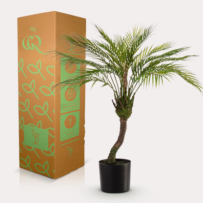 Kunstplant - Bergpalm - (Chamaedorea) - 85 cm