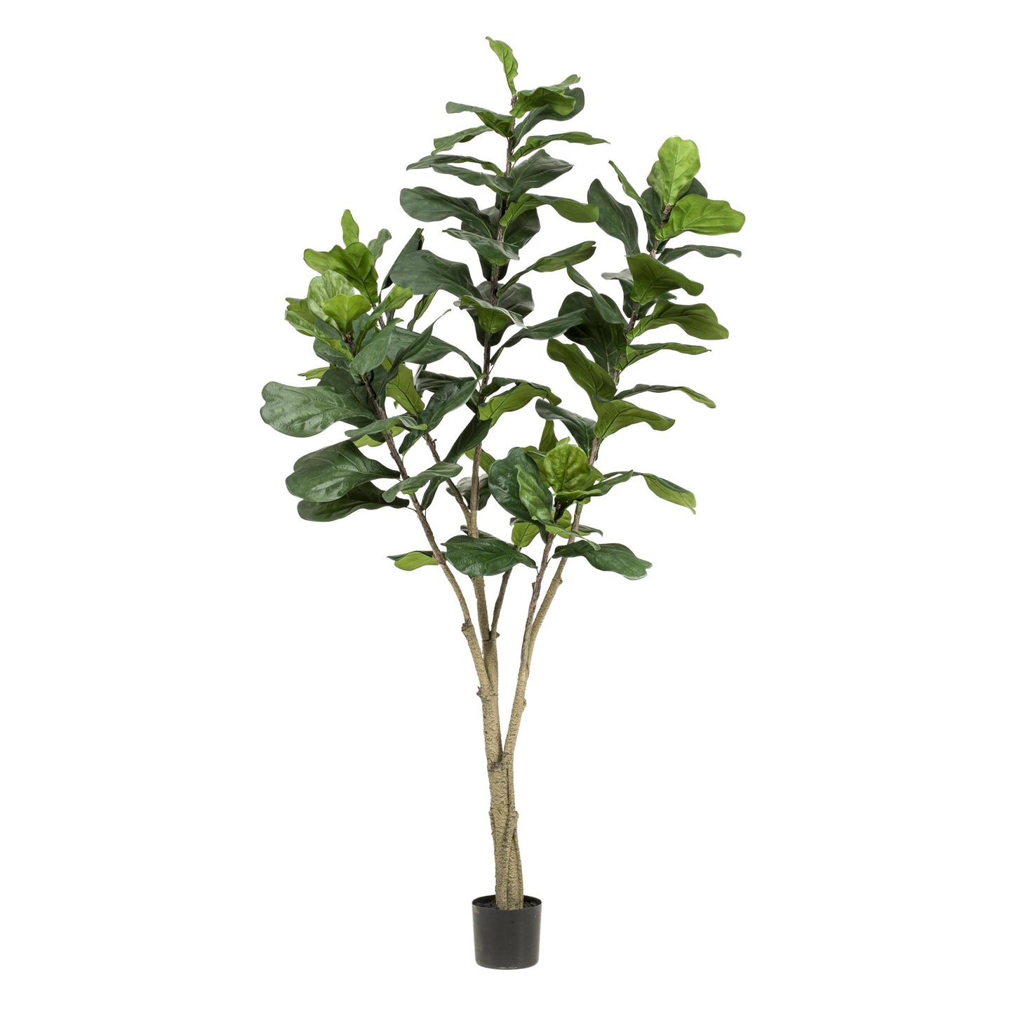 Kunstplant - Tabaksplant - Ficus Lyrata - 210cm