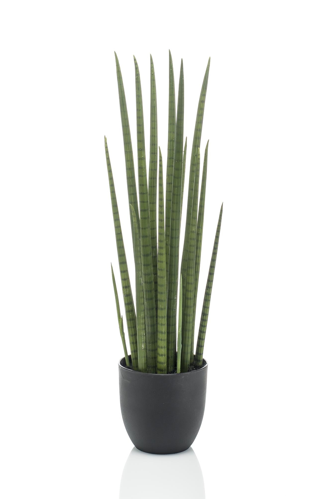 Kunstplant - Vrouwentong - Sanseveria Cylindrica - 70 cm