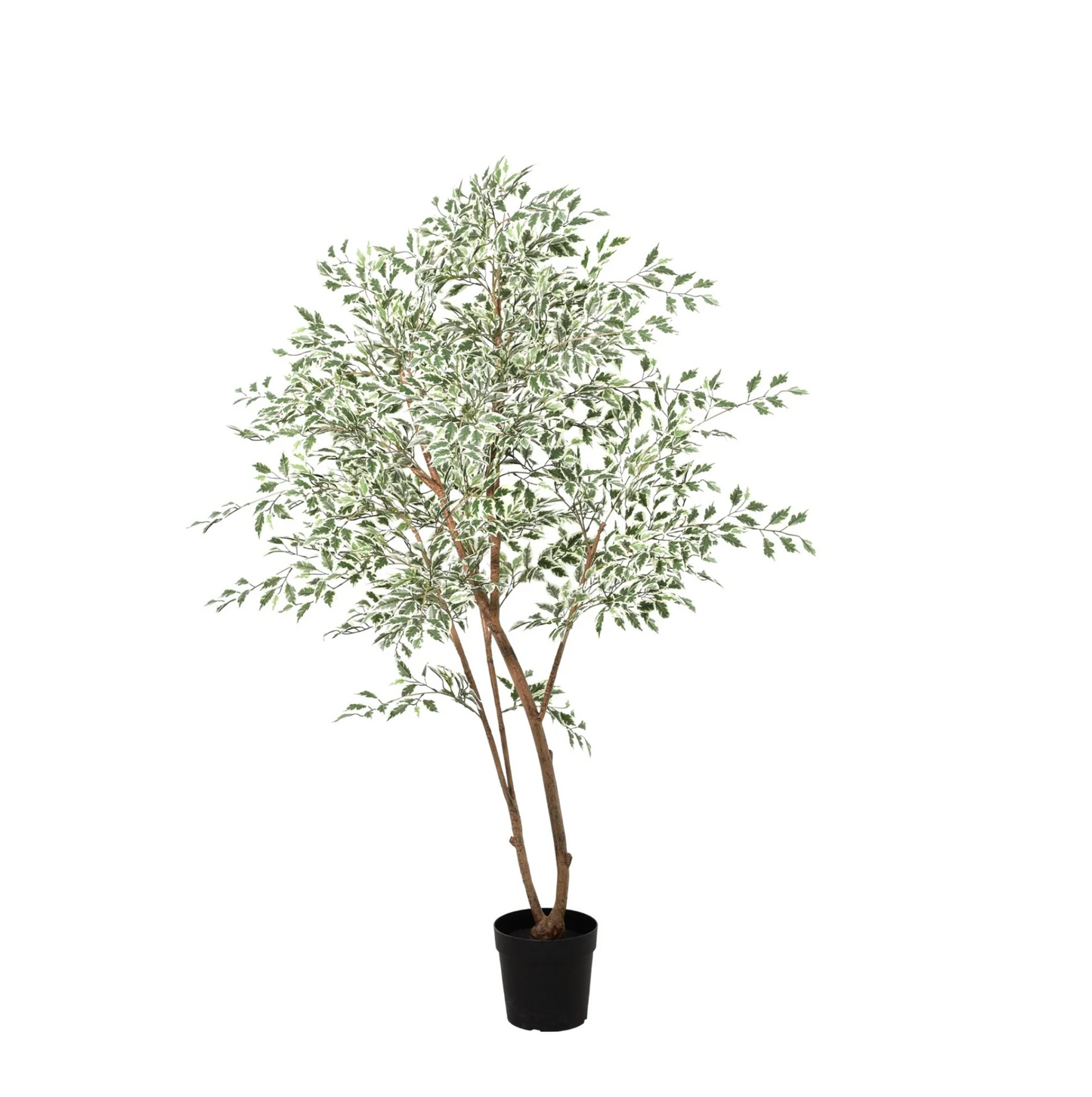 Kunst Ficus – Ficus benjamina variegata – 185 cm