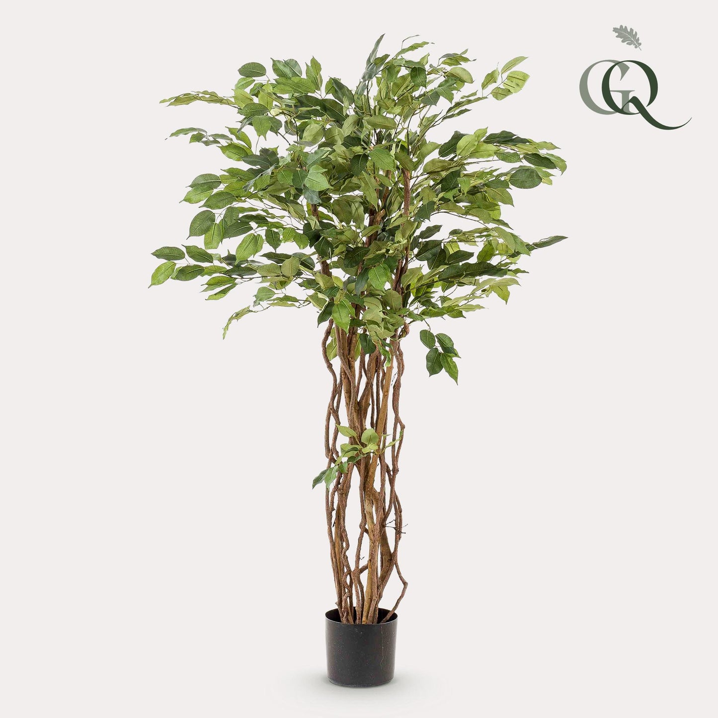 kunstplant -  Vioolbladplant - Ficus liana - 140cm