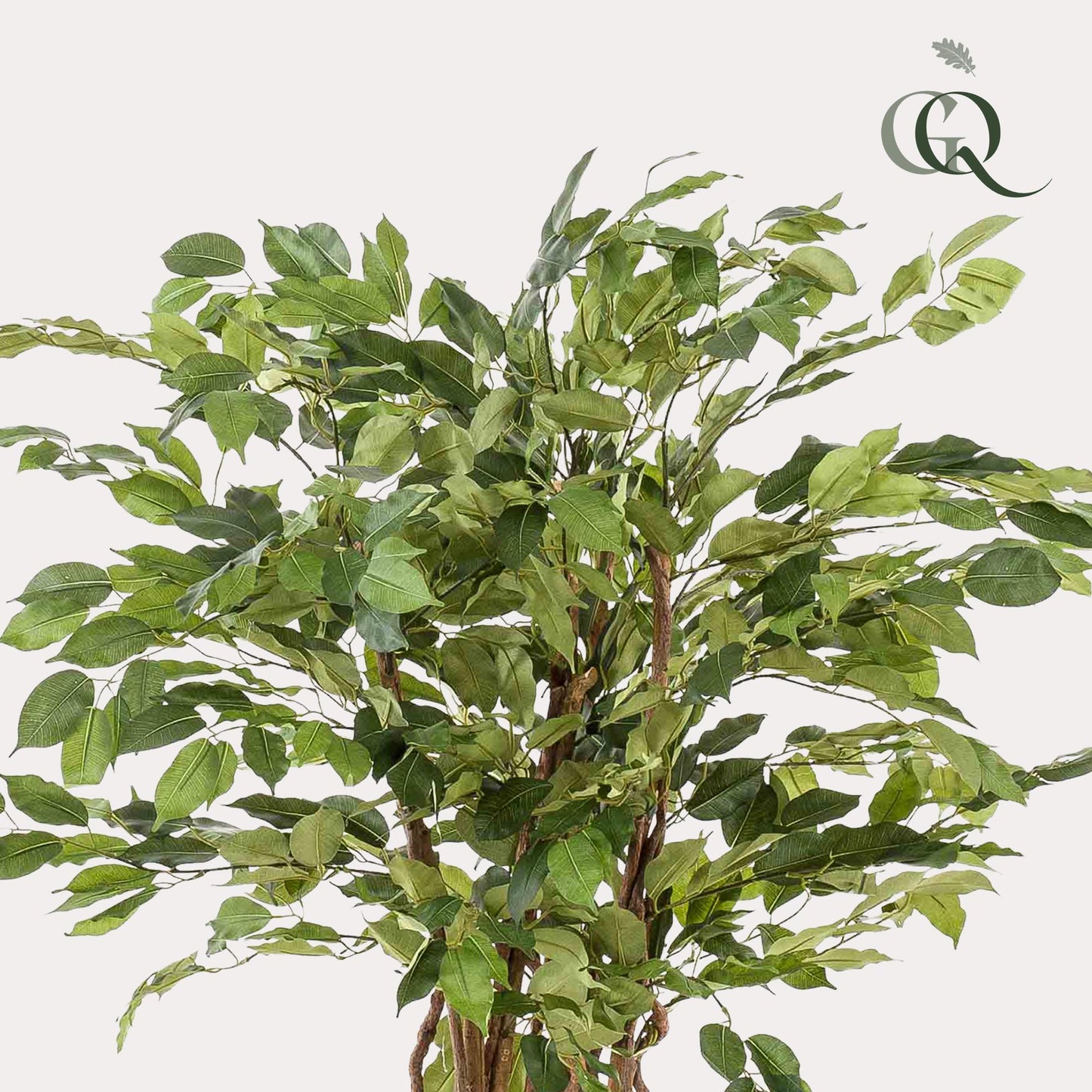 kunstplant -  Vioolbladplant - Ficus liana - 140cm