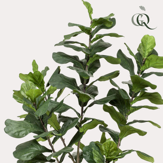 Kunstplant - Tabaksplant - Ficus Lyrata - 210cm