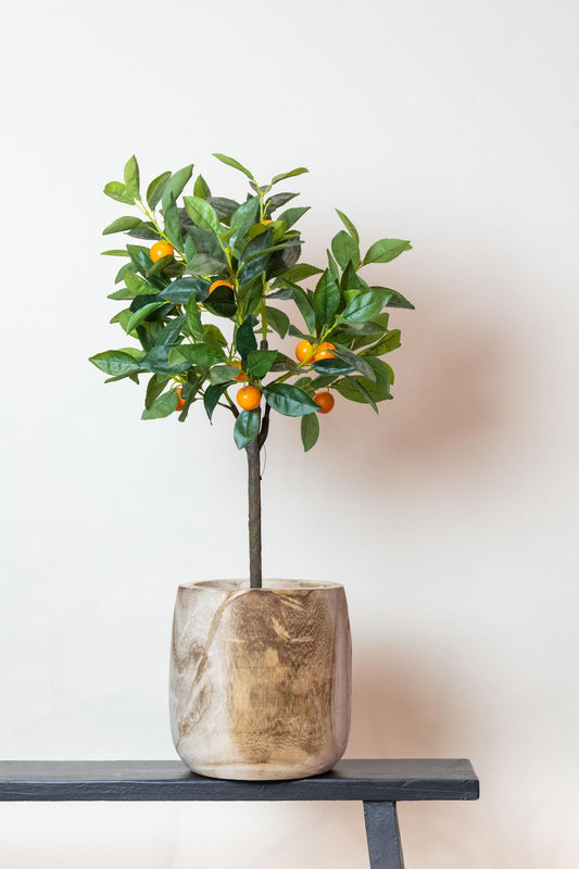 Kunstplant Sinaasappelboom - Citrus Sinensis - 75 cm