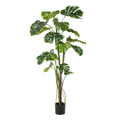 Kunstplant - Gatenplant - Monstera  - 180cm