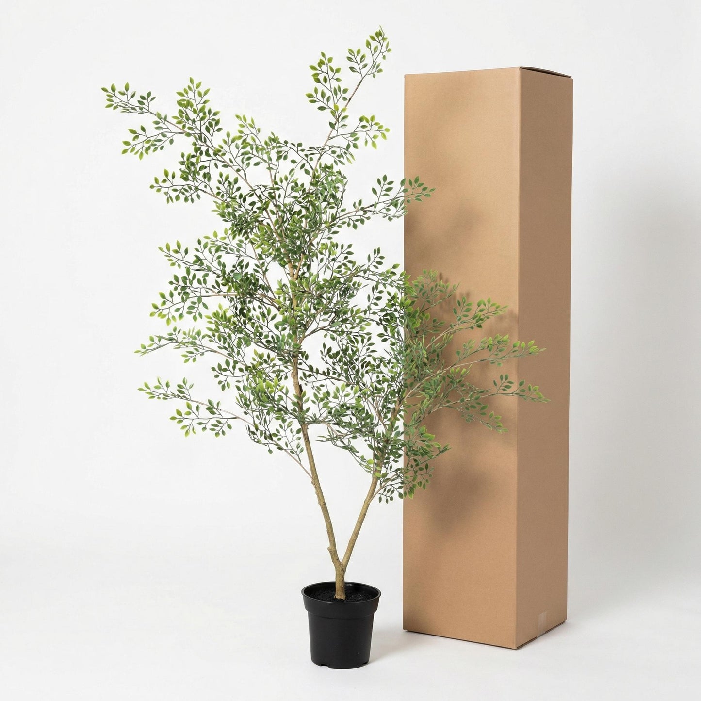 Kunstplant Bucida - 71 cm