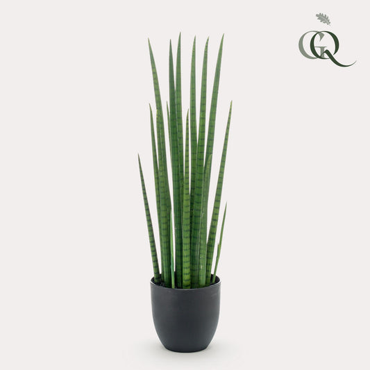 Kunstplant - Vrouwentong - Sanseveria Cylindrica - 70 cm