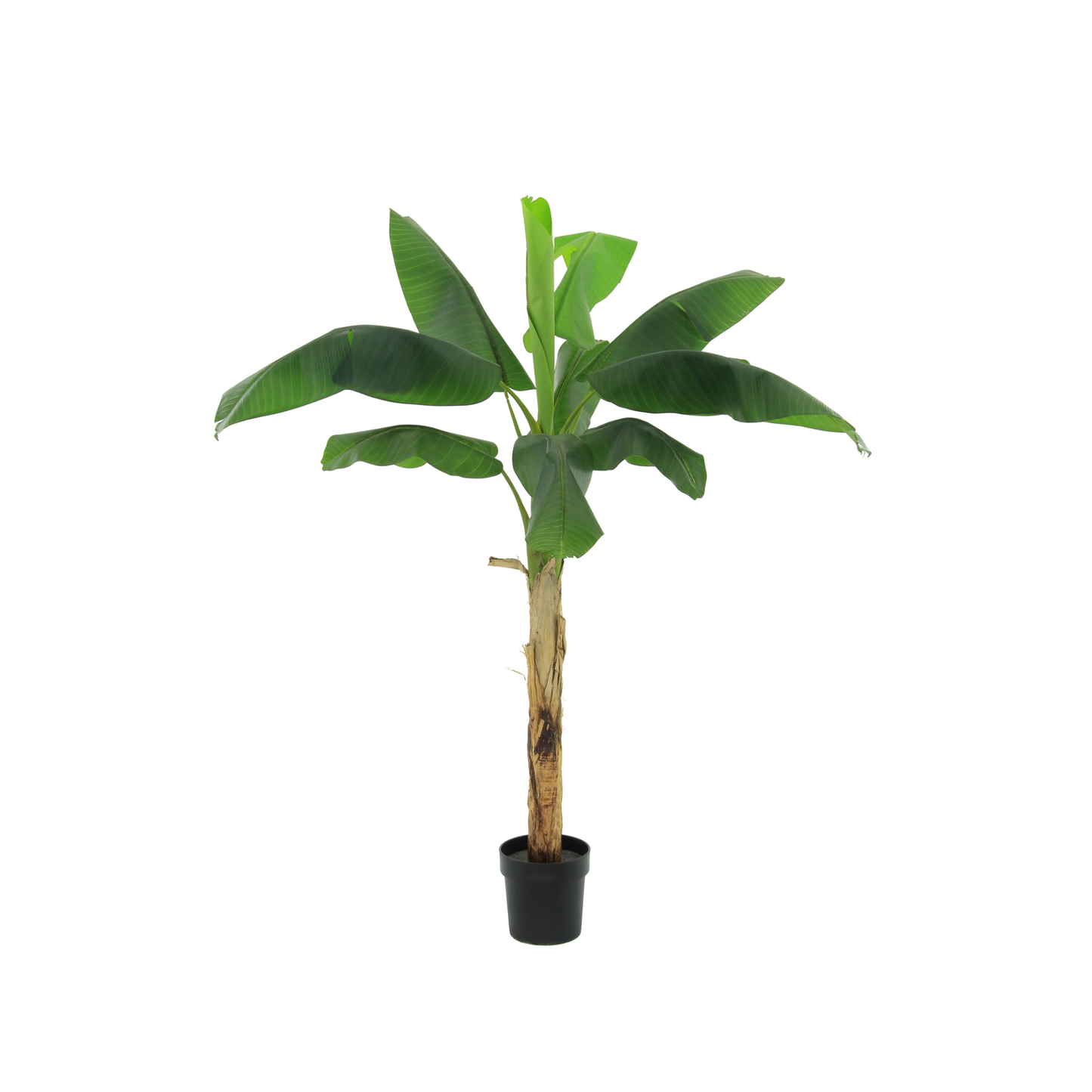 Kunstplant - Bananenplant Musa - 180cm