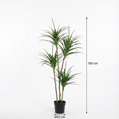 Kunst Dracaena – Dracaena marginata – 165 cm