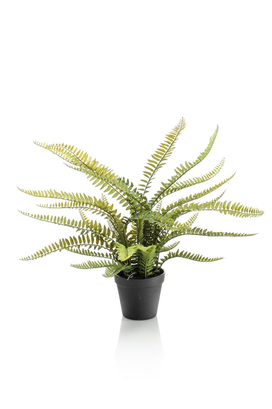 Kunstplant – Bostonvaren (Nephrolepis Exaltata) - 55 cm