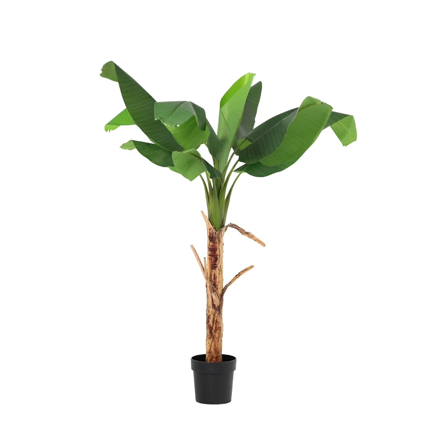 Kunst Bananenplant – Musa – 150 cm