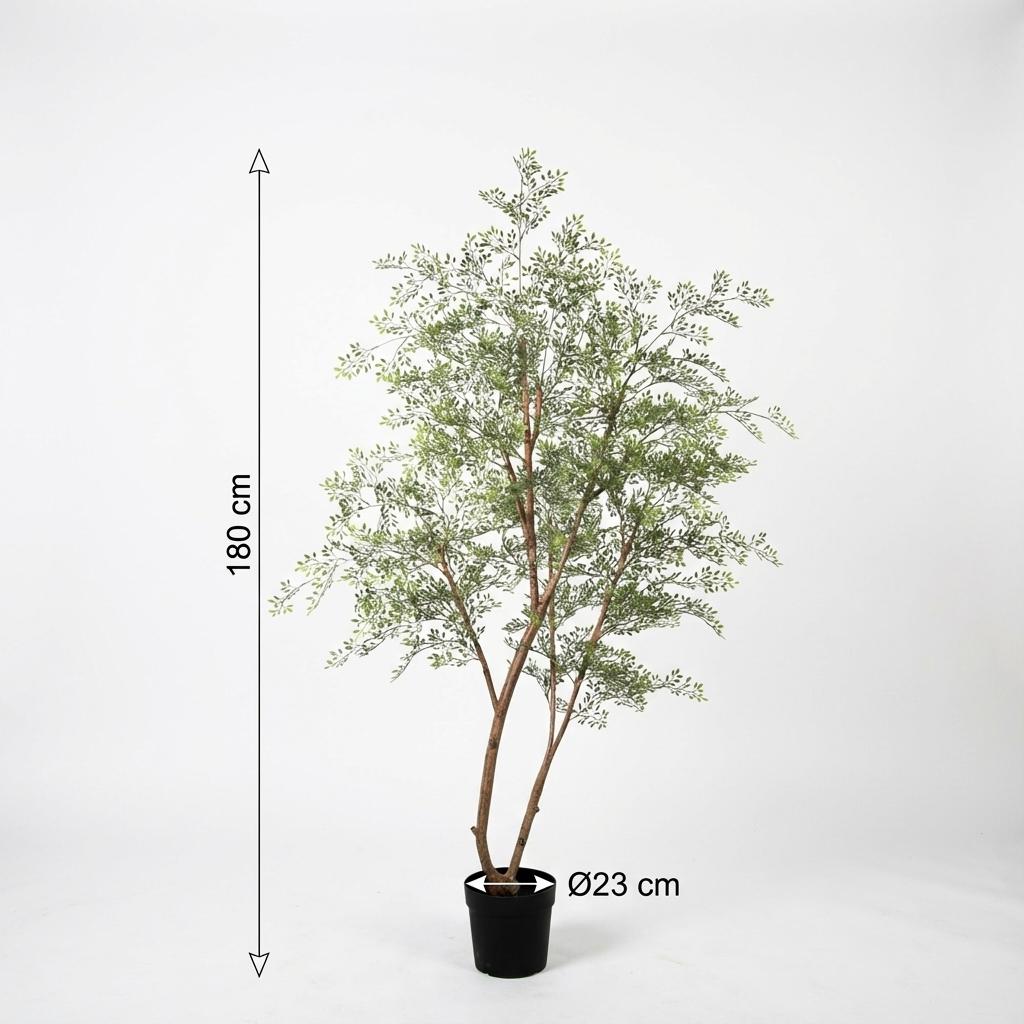 Kunst Cassia – Cassia – 180 cm