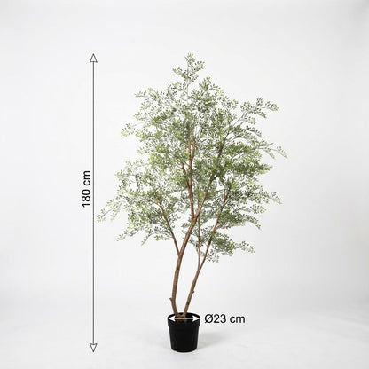 Kunst Cassia – Cassia – 180 cm