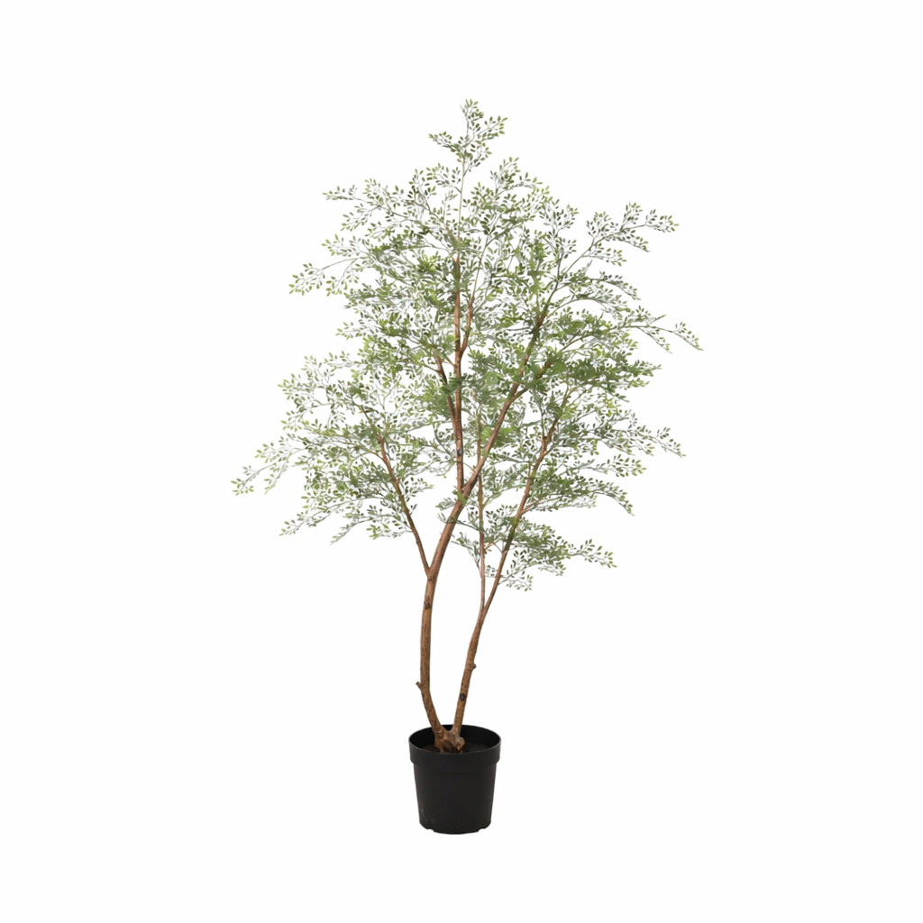 Kunst Cassia – Cassia – 180 cm