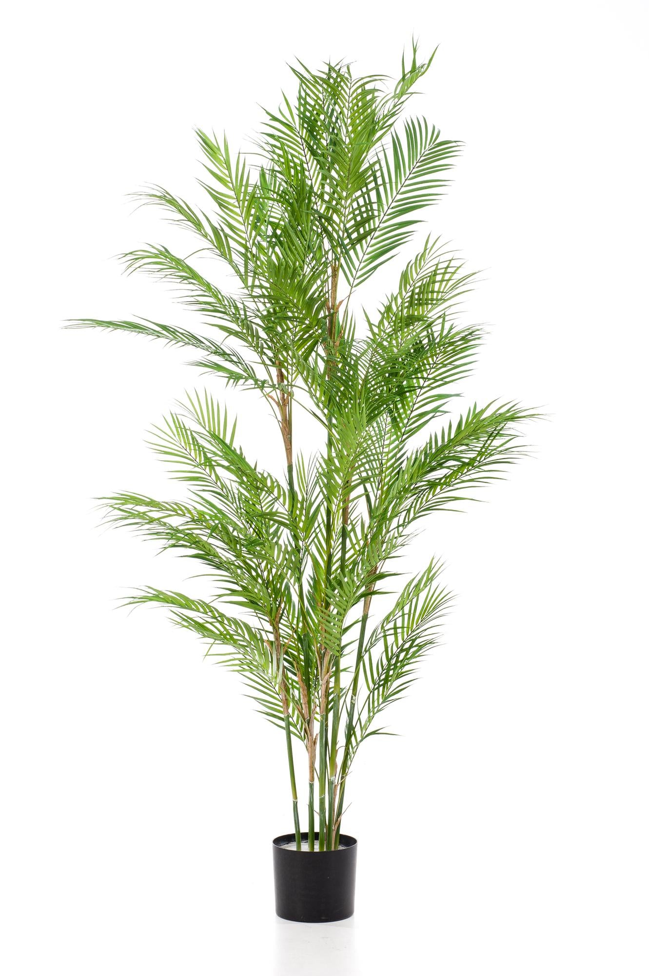 Kunstboom – Bergpalm (Chamaedorea elegans)