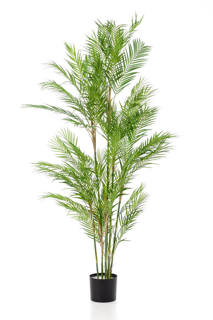 Kunstboom – Bergpalm (Chamaedorea elegans)