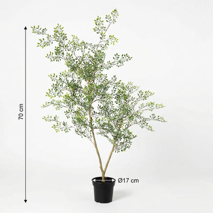 Kunstplant Bucida - 71 cm