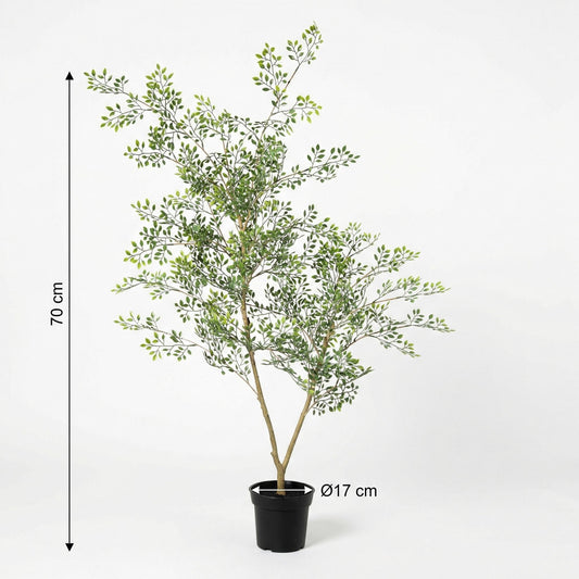 Kunstplant Bucida - 71 cm