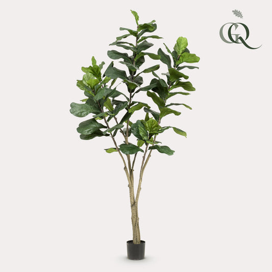 Kunstplant - Tabaksplant - Ficus Lyrata - 210cm