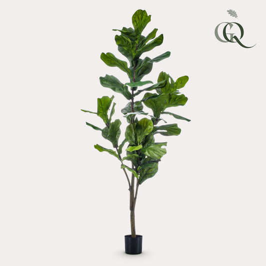 Kunstplant - Tabaksplant - Ficus Lyrata  - 150cm