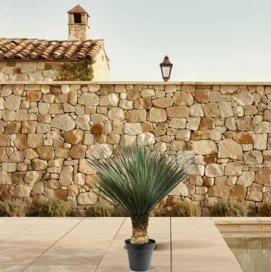 Palmlelie – Yucca rostrata – 120 cm
