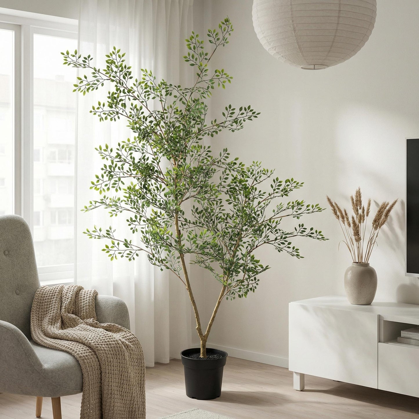 Kunstplant Bucida - 71 cm