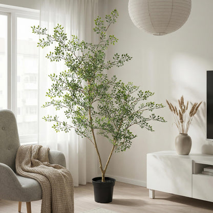 Kunstplant Bucida - 71 cm