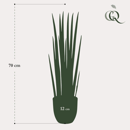 Kunstplant - Vrouwentong - Sanseveria Cylindrica - 70 cm