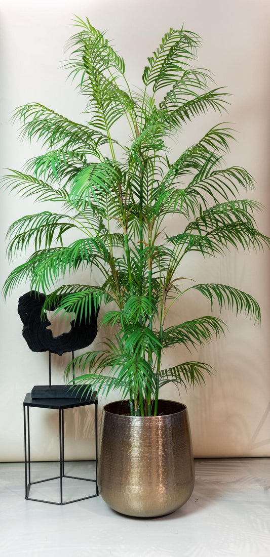 Kunstboom – Bergpalm (Chamaedorea elegans)