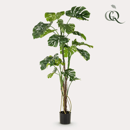 Kunstplant - Gatenplant - Monstera  - 180cm